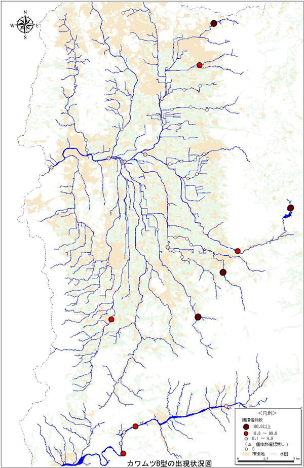 カワムツＢ型の出現状況図