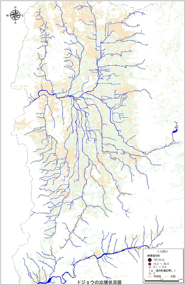 ドジョウの出現状況図