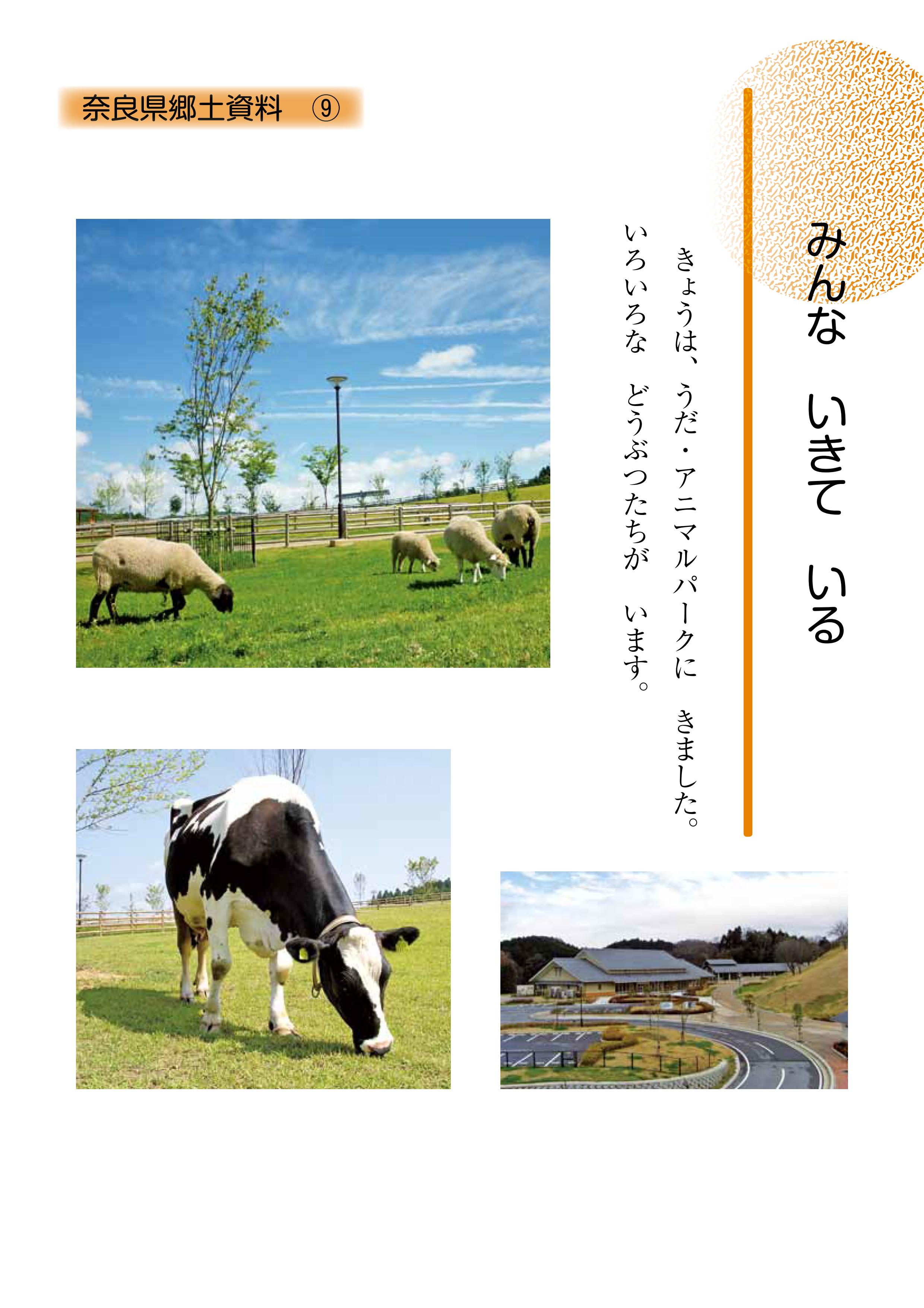 奈良県郷土資料9