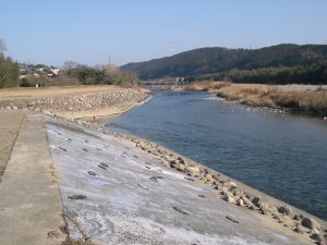 <吉野川>大淀町檜垣本