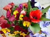 花１３