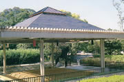 相撲1