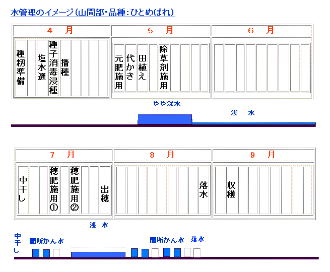 山間の水管理ひとめぼれ