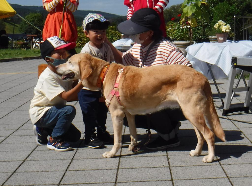 動物愛護フェスティバル　画像