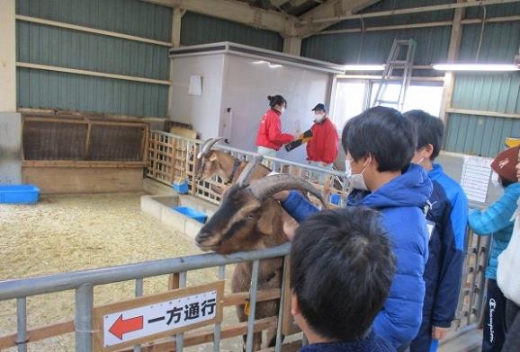 ウインタースクール写真