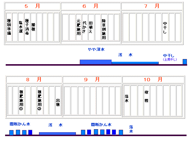 平坦水管理8月