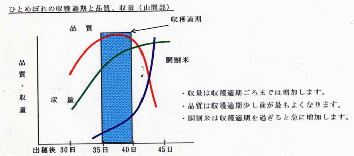 ひとめぼれの収穫適期と品質、収量の関係