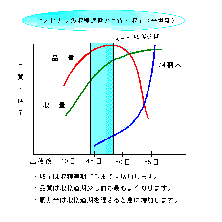 収穫適期の表