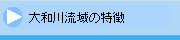 大和川流域の特徴