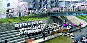 親しみのある河川の様子