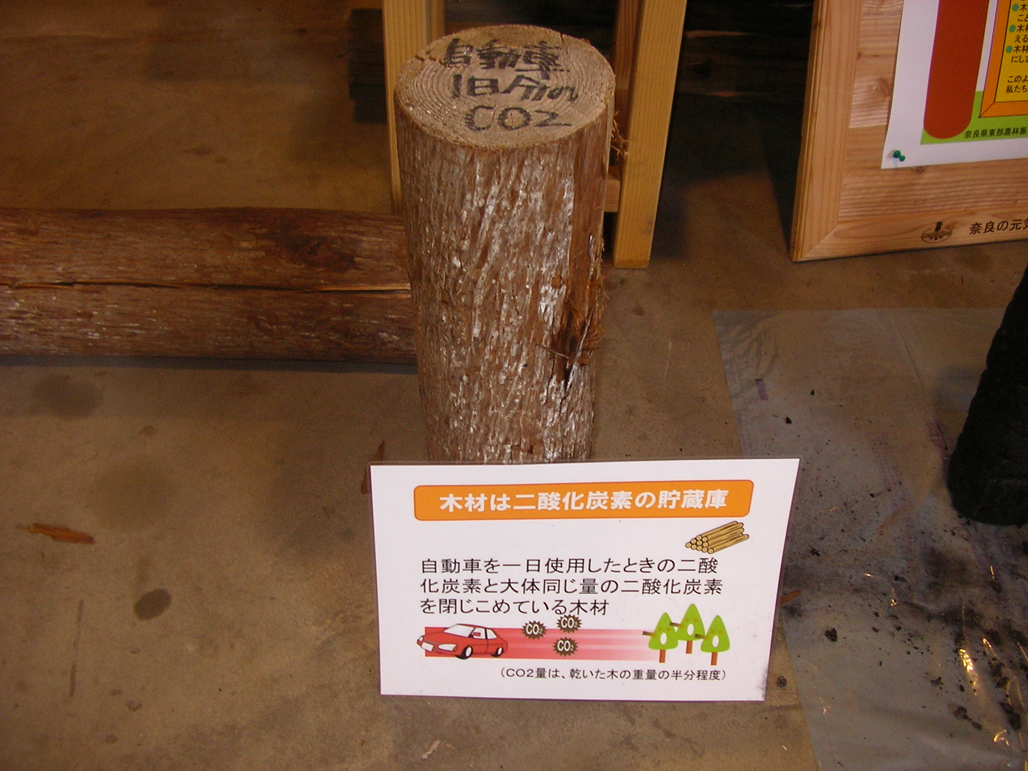 木材はCO２の貯蔵庫