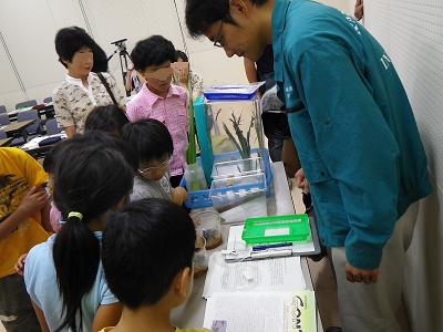 水辺の生き物たち