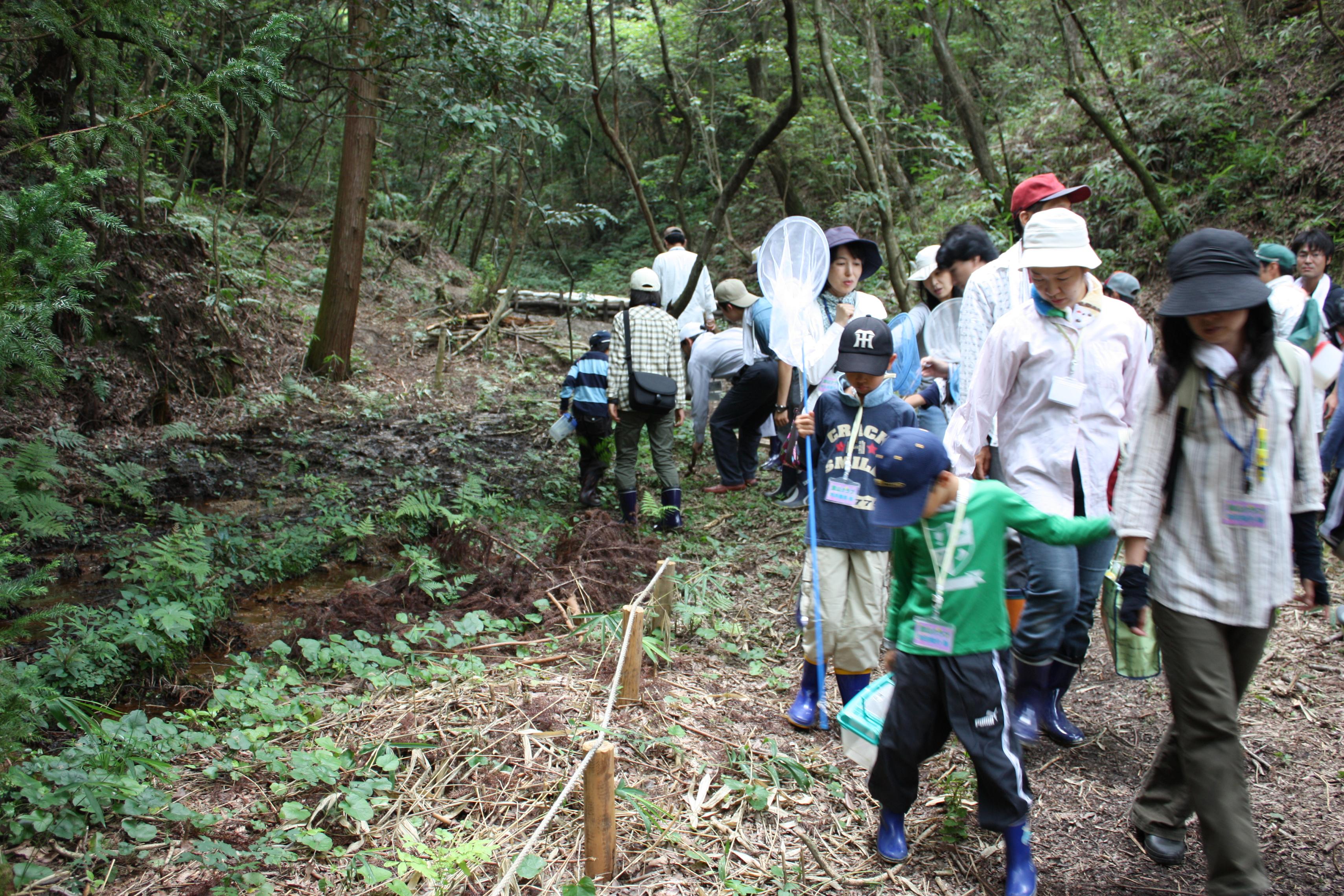 里山探検