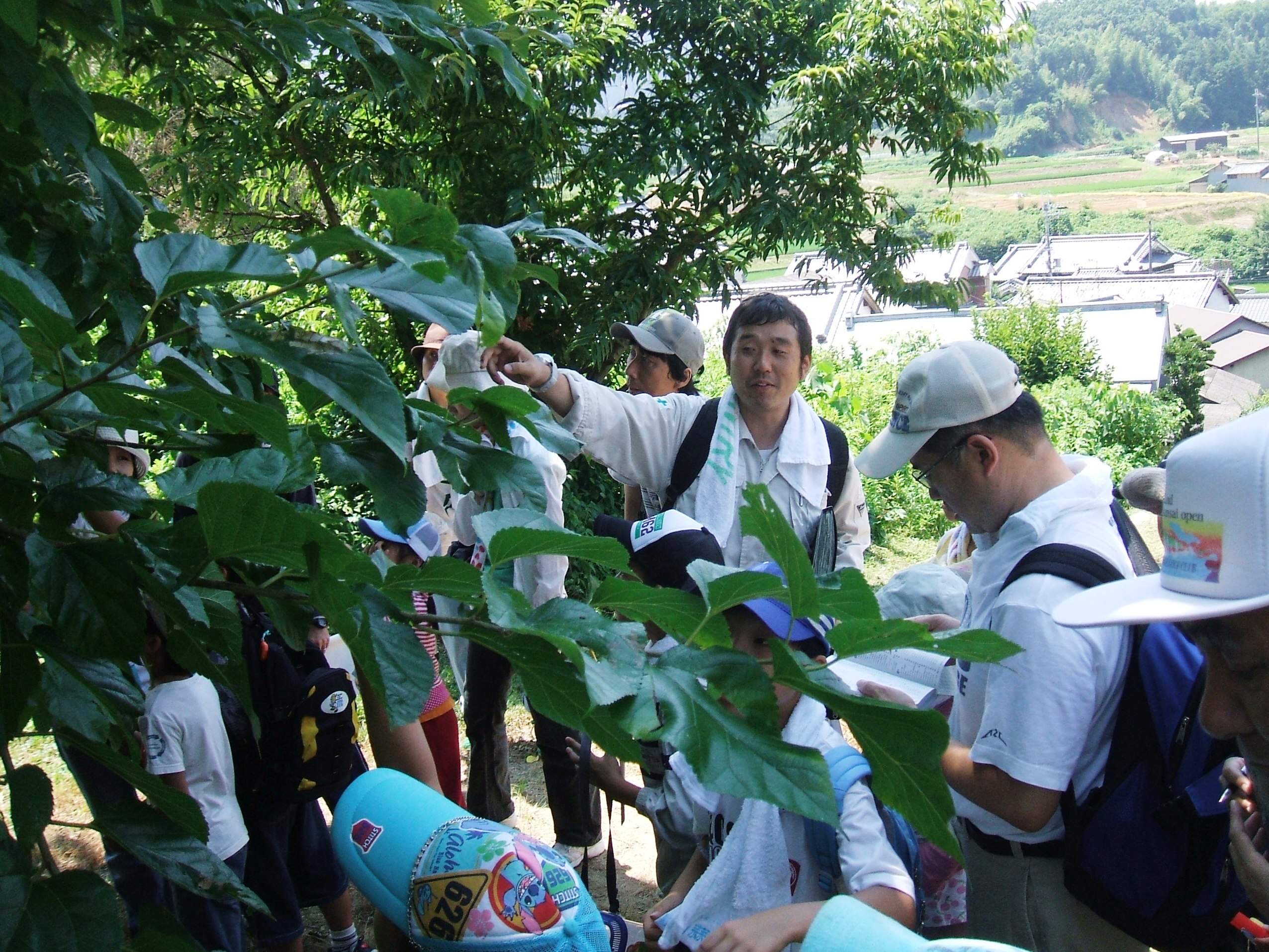 夏の虫観察会