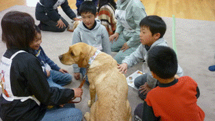 犬のふれあい