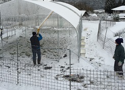 雪害対策試験