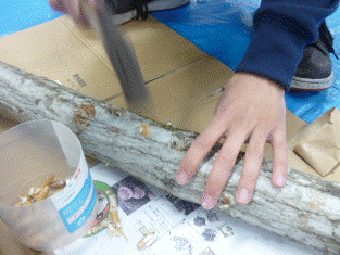 菌を埋め込みます