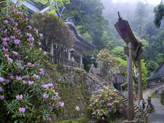 34.玉置神社（たまきじんじゃ）