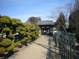 9.金剛寺（こんごうじ）