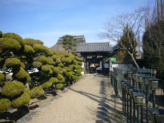 9.金剛寺（こんごうじ）