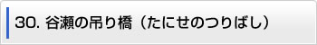 30.谷瀬の吊り橋（たにせのつりはし）