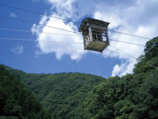 15.野猿(やえん)