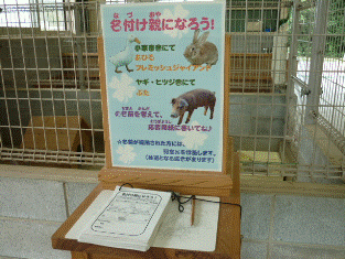 名前をつけてね！