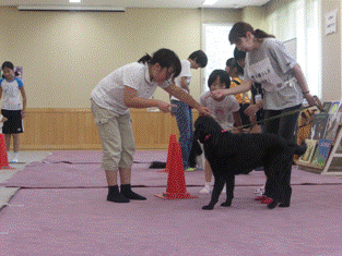 ふれあい