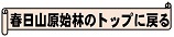 春日山原始林のトップに戻る