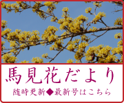 馬見花だよりリンク