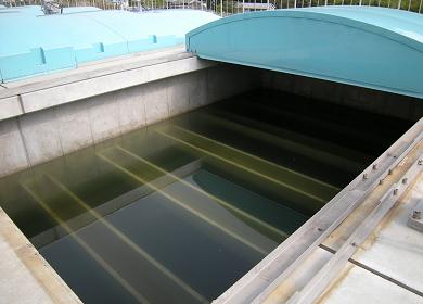 生物濾過池水槽写真