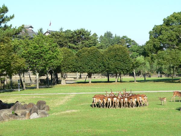 荒池園地