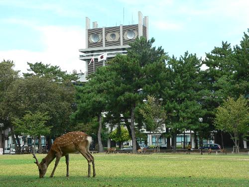 園地の写真