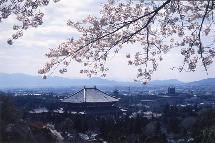 東大寺大仏殿、奈良盆地が眺望できる奥山ドライブウェイ沿い