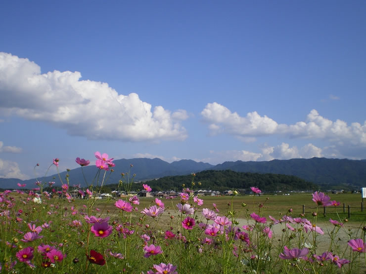 大和三山が眺望できる藤原宮大極殿跡