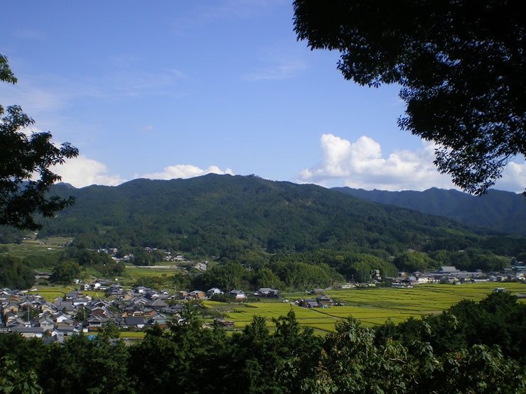 飛鳥の集落と周辺の山々が眺望できる甘樫の丘