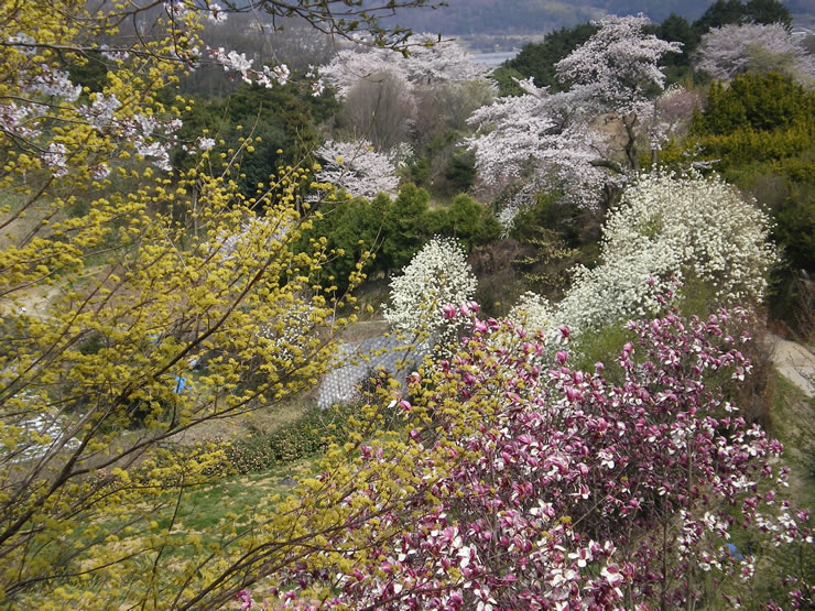 里山と矢田丘陵が眺望できる福貴畑の里