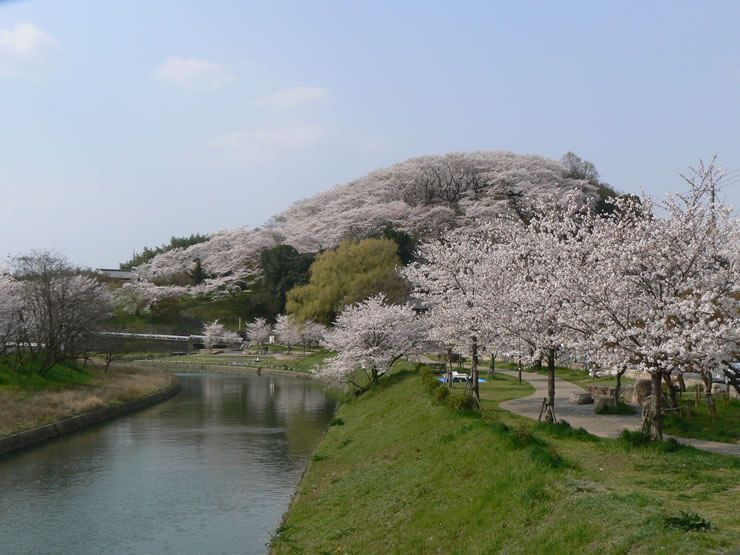 三室山が眺望できる竜田公園、岩瀬橋