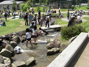 ふれあい広場　池周辺の風景