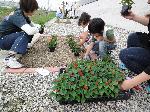 花の植栽２