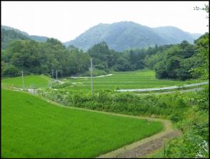 山添整備後