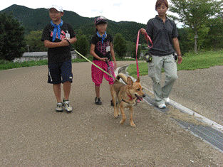 犬の散歩