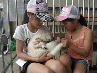 子犬のようちえん