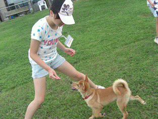 成犬トレーニング