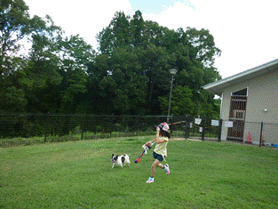 成犬トレーニング３