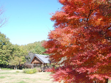 水分広場の紅葉