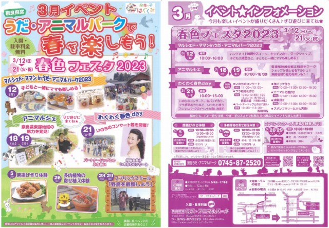3月号チラシ