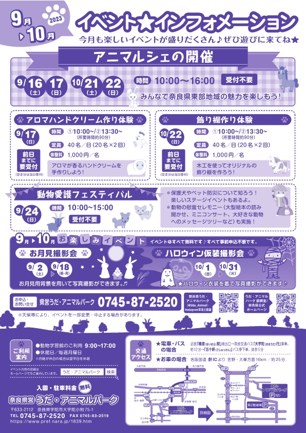 9月10月チラシ裏