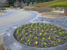 花の道の花壇