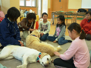 犬とのふれあい